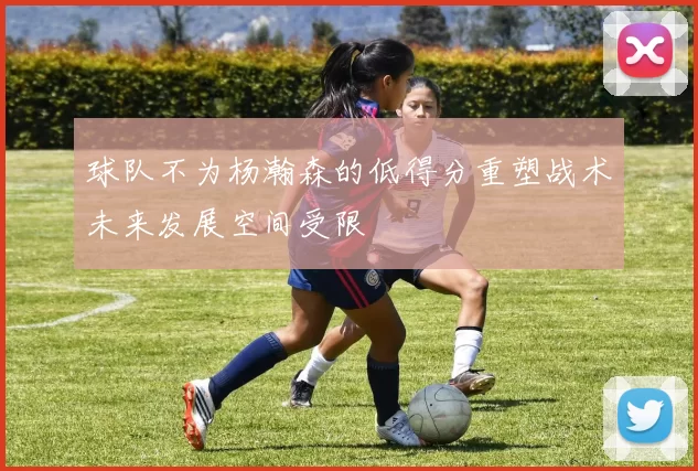球队不为杨瀚森的低得分重塑战术未来发展空间受限