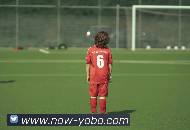 App Interface Preview