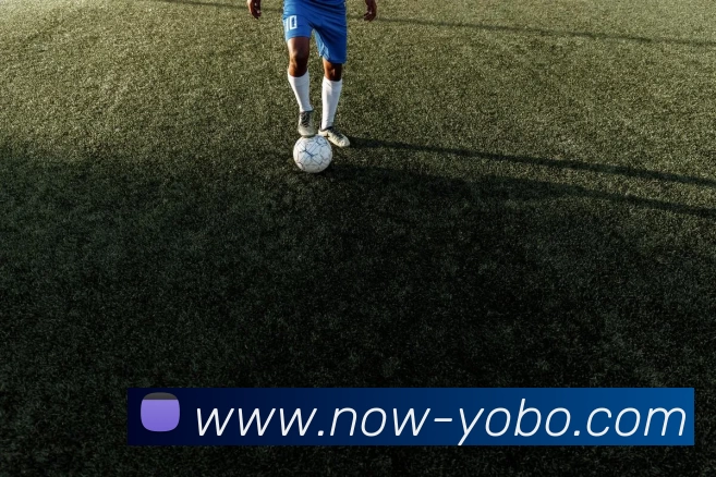 友博体育APP 封面图